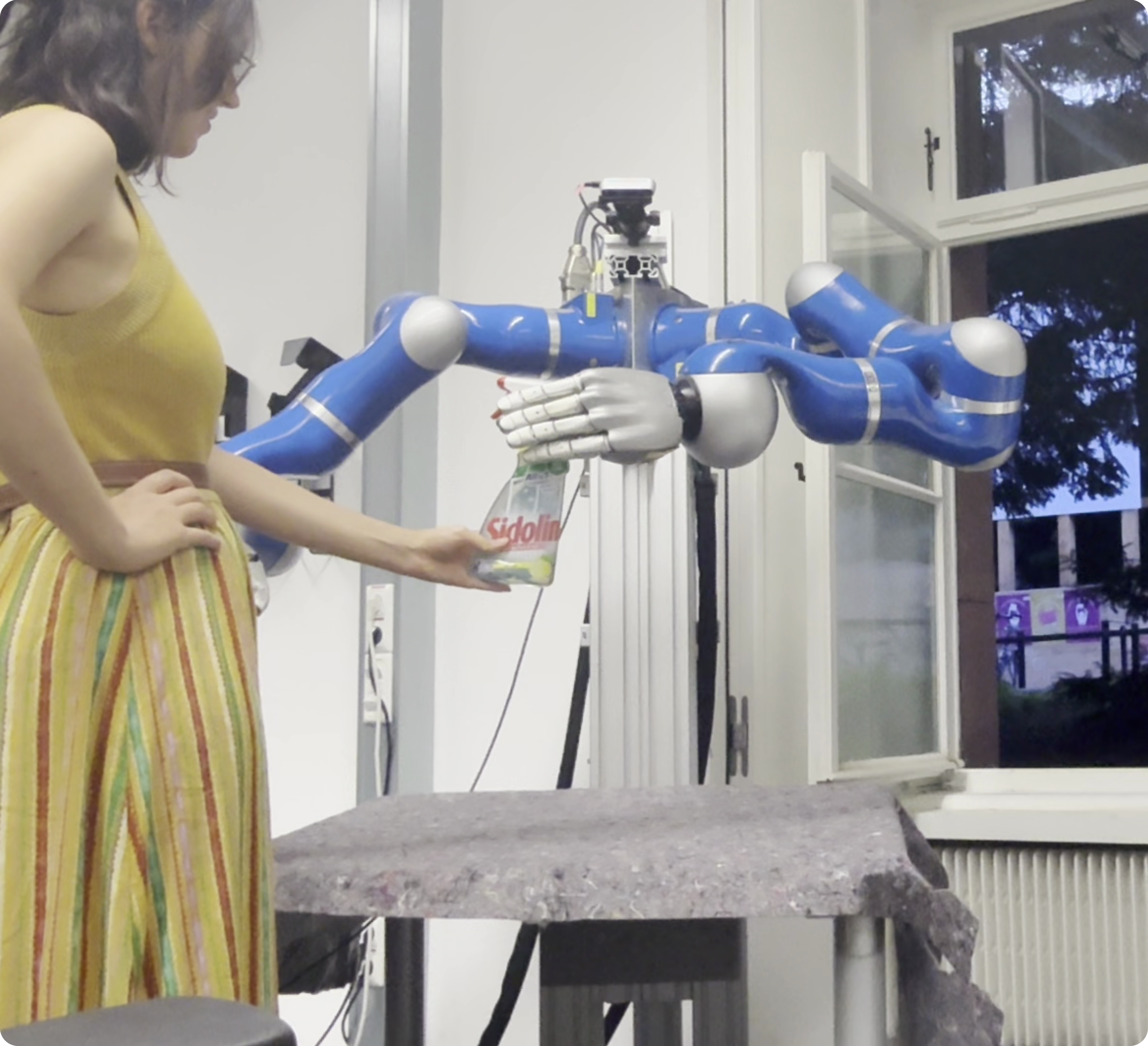 Robot Handover Task